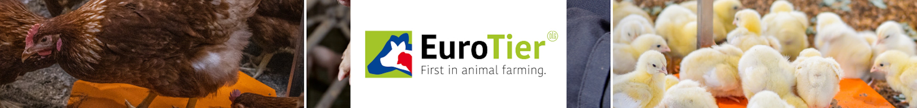Hotraco Header Euro Tier 2024