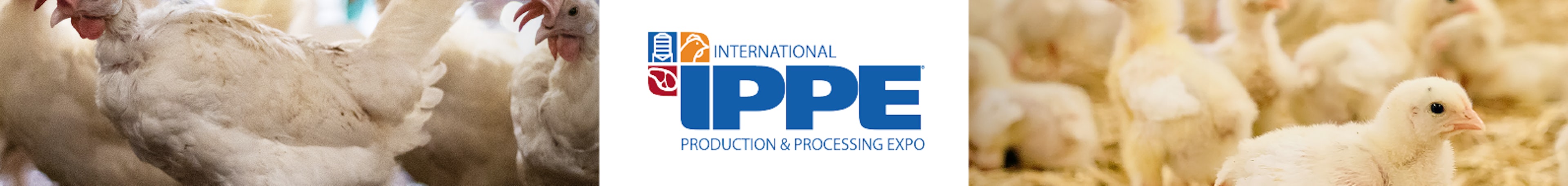 240108 Hotraco Header IPPE 2025 1