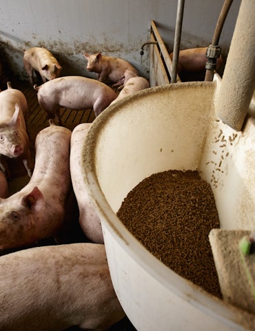 Thomas Feed Residual feed systems