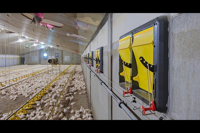 X stream inlets poultry