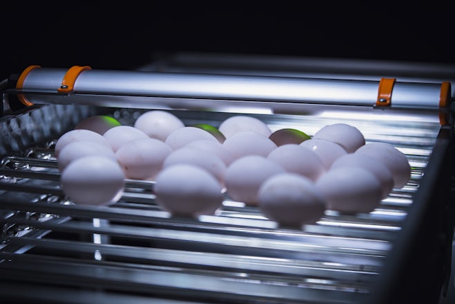 Egg Xact Egg counter MV 04070