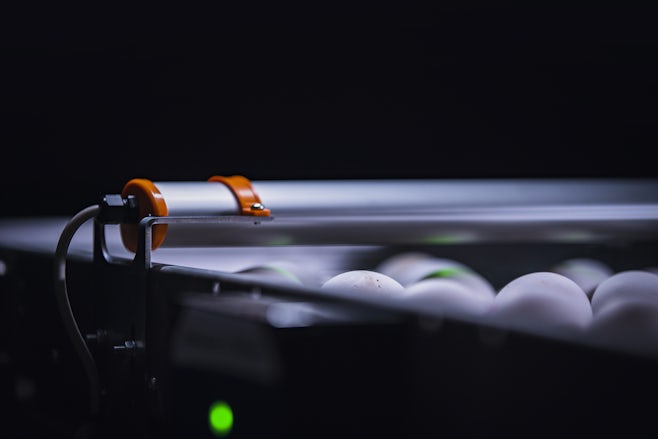 Egg Xact Egg counter MV 04100