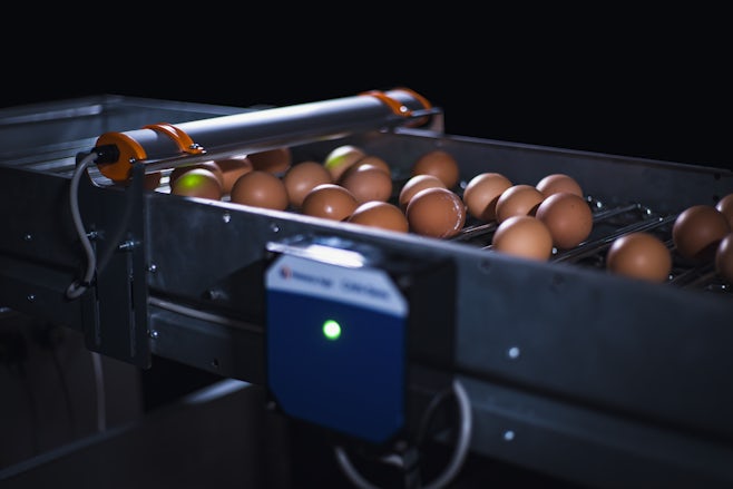 Egg Xact Egg counter MV 04151