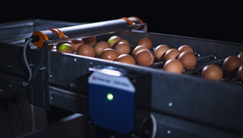 Egg Xact Egg counter MV 04151