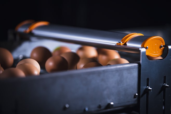 Egg Xact Egg counter MV 04170 02
