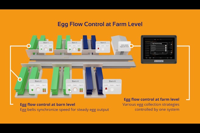 Visual Egg flow control Farm level