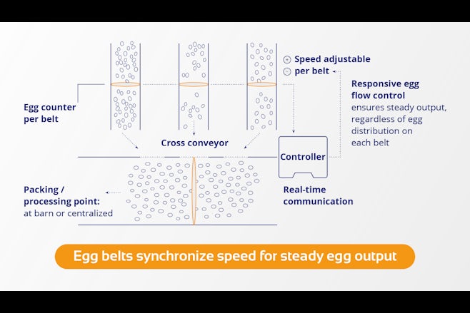 Visual Egg flow control