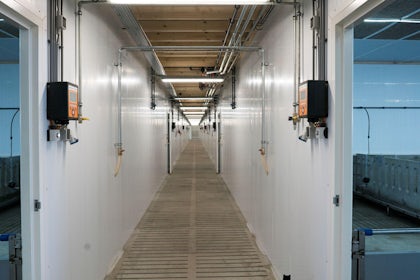 Netherlands2 Modern farm for 6000 finishers