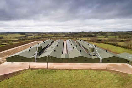 England6-Broiler-Breeders-in-the-southwest-of-England.jpg