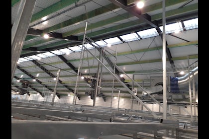 Netherlands 7 Equal pressure ventilation system in new laying hen house 7