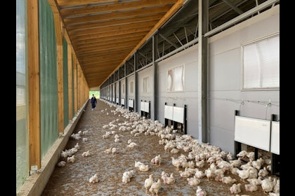 Slovenia Broiler Farm Hotraco Tulderhof Hotraco Linked In60