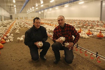 Sweden2-Fortica-successfully-applied-in-Swedish-free-range-chicken-farm.jpg