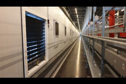 USA new layer farm in de US 3 floor avairy 5