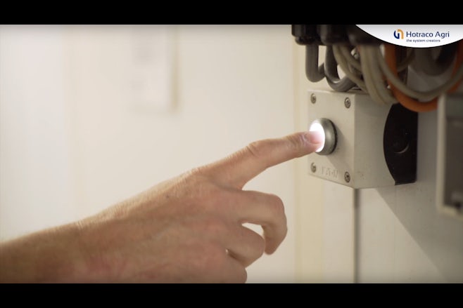 Videoitem verlichting varkens