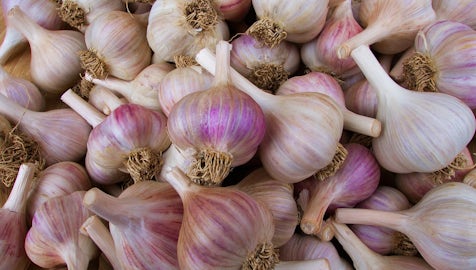 Pile of garlic 2