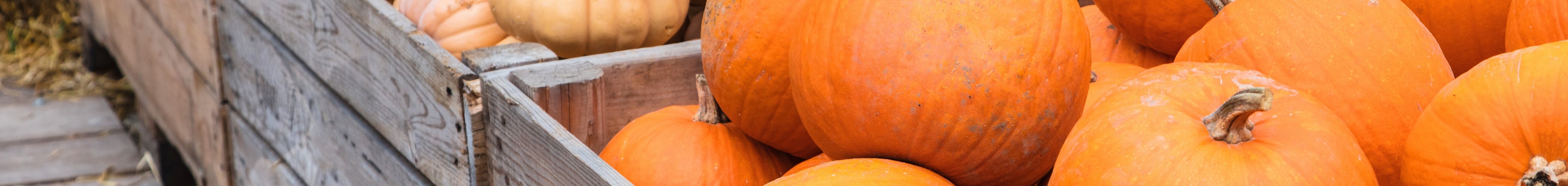 Pumpkins in boxes 2