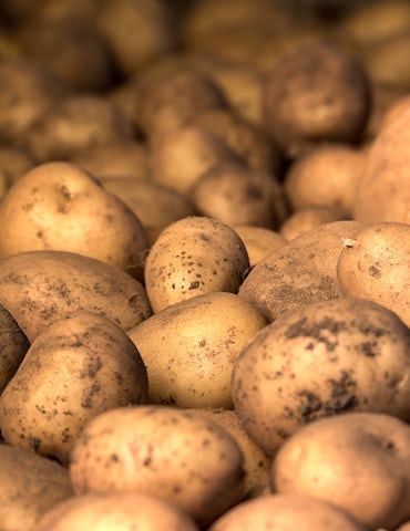 Homepage Solution 1 Patatoes