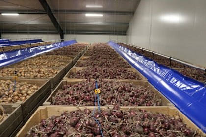 Gecombineerde bewaring in het noorden van Groningen 1