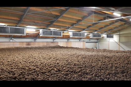 Potato Storage Geraats 04