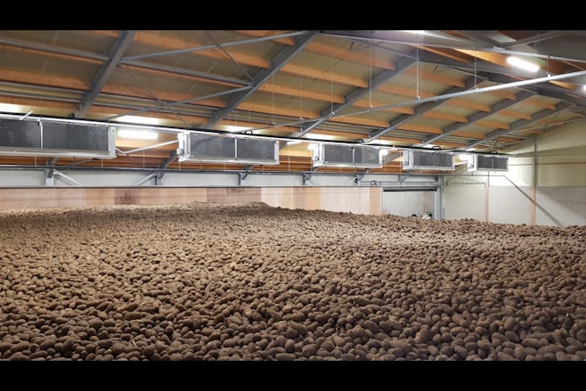 Potato Storage Geraats 04